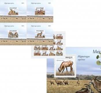 30-01-2010-project-in-co-operation-with-wwf-code-moz10101a-moz10101d.jpg