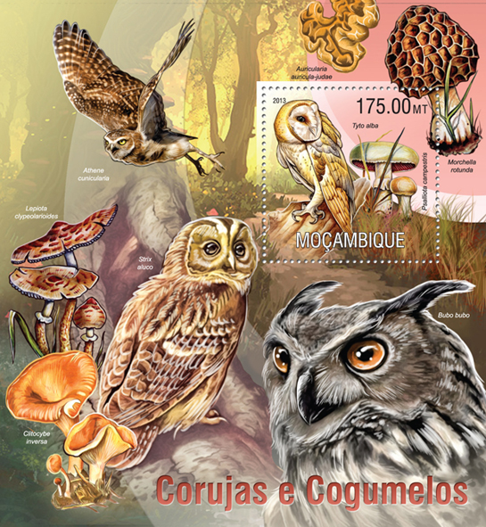 Owls and Mushrooms - Issue of Mozambique postage Stamps