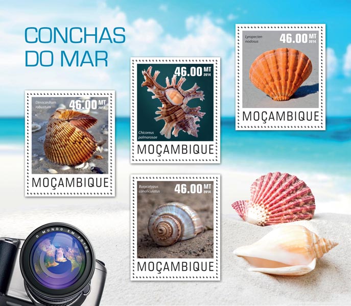 Seashells - Issue of Mozambique postage Stamps
