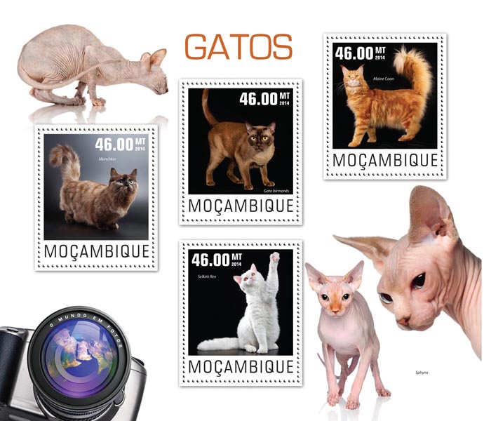 Cats - Issue of Mozambique postage Stamps
