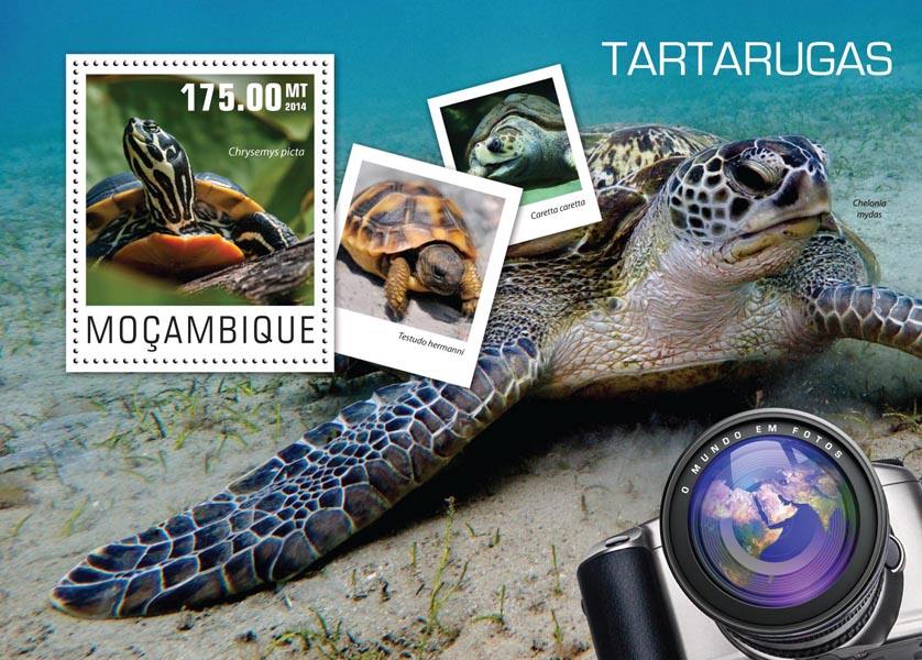 Turtles - Issue of Mozambique postage Stamps