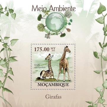 Giraffes (Giraffa camelopardalis). - Issue of Mozambique postage Stamps