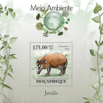 Boars (Phacochoerus porcus). - Issue of Mozambique postage Stamps