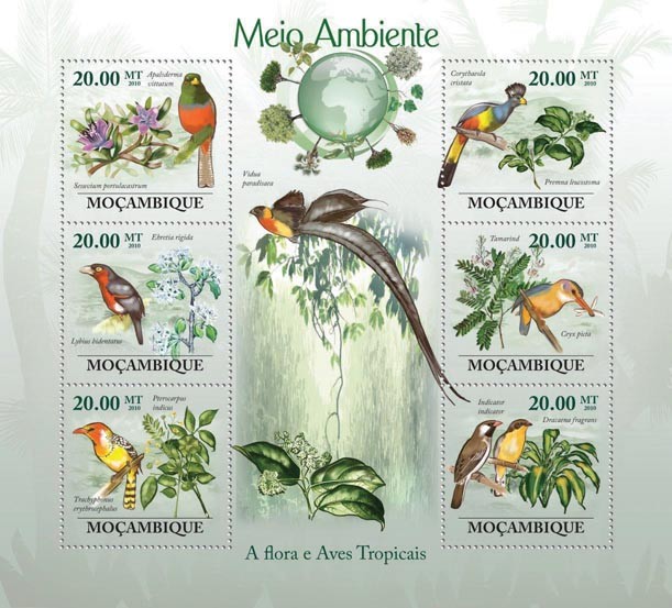 Flora & Tropical Birds. - Issue of Mozambique postage Stamps