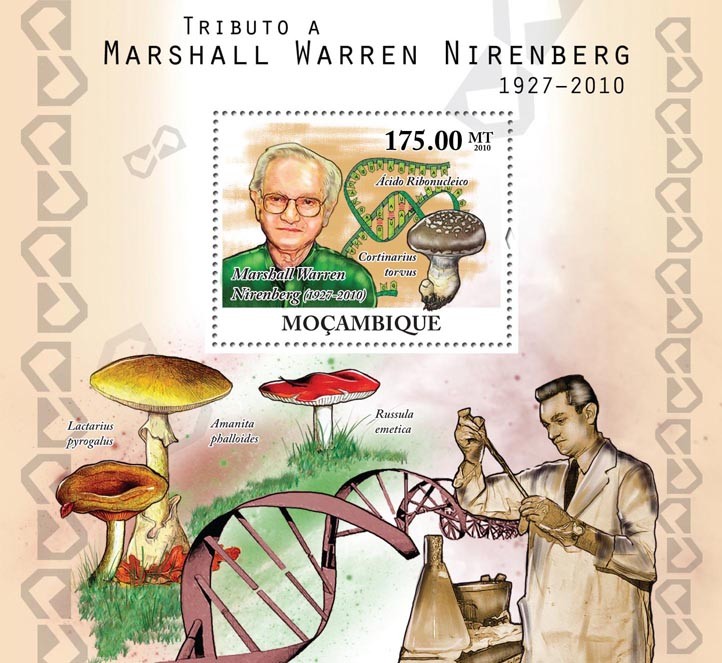 Tribute to Marshall Warren Nirenberg, (1927-2010), Nobel Prize & Mushrooms. - Issue of Mozambique postage Stamps
