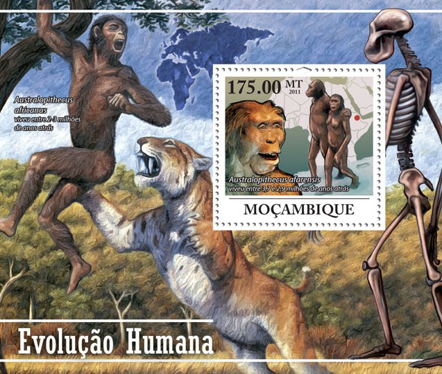 Human Evolution. - Issue of Mozambique postage Stamps