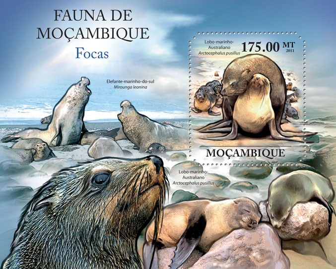 Seals, (Lobo-marinho). - Issue of Mozambique postage Stamps