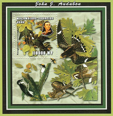 Birds (J.J.Audubon) 110000 MT S/S - Issue of Mozambique postage Stamps