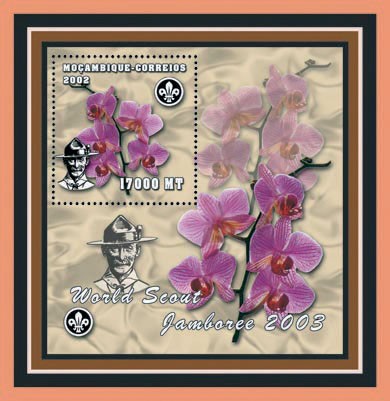 Scouts - Orchids 17000 MT - Issue of Mozambique postage Stamps