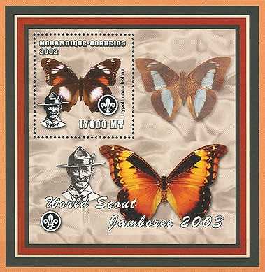 Scouts - Butterflies 17000  MT - Issue of Mozambique postage Stamps