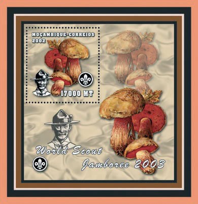 Scouts - Mushrooms 17000 MT - Issue of Mozambique postage Stamps
