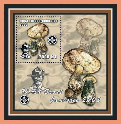 Scouts - Mushrooms 17000  MT - Issue of Mozambique postage Stamps