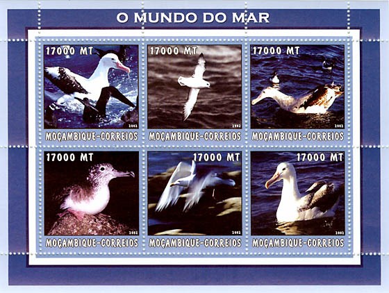 Sea Birds 6 x 17000  MT - Issue of Mozambique postage Stamps