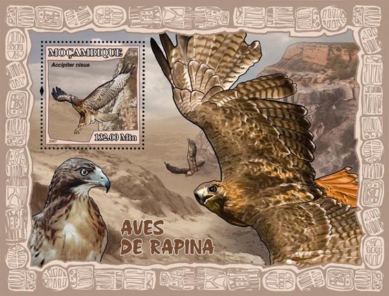 BIRDS OF PREY - Issue of Mozambique postage Stamps