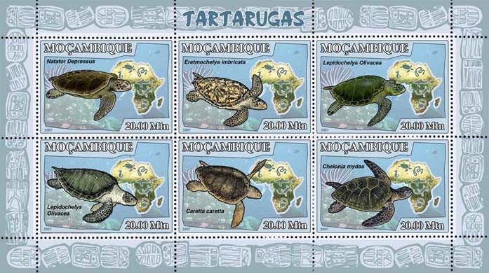 TURTLES 6v - Issue of Mozambique postage Stamps