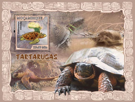 TURTLES s/s - Issue of Mozambique postage Stamps
