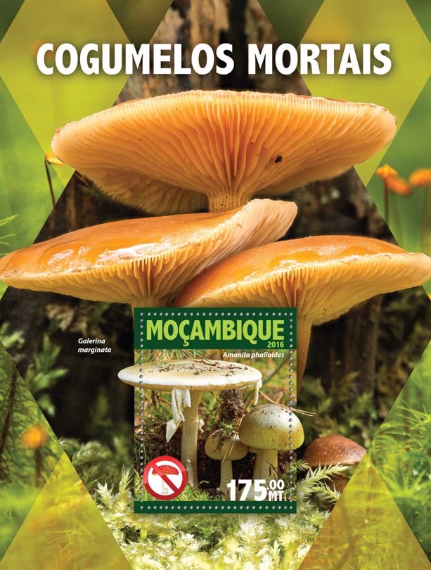 Mushrooms - Issue of Mozambique postage Stamps