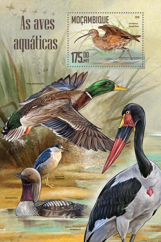 Water birds - Issue of Mozambique postage Stamps