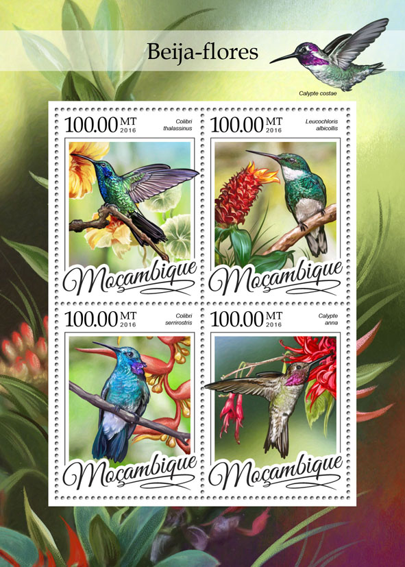 Colibri - Issue of Mozambique postage Stamps