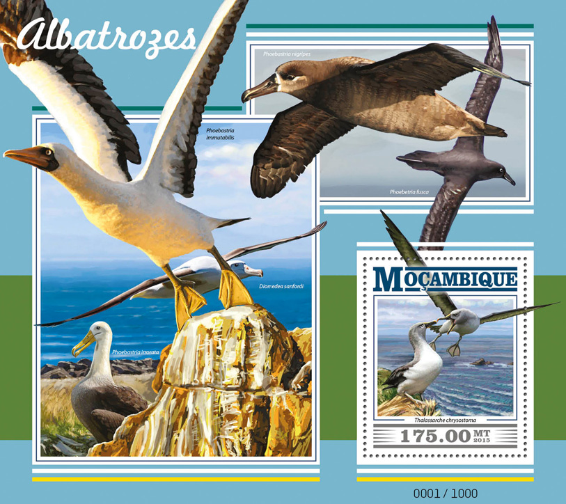 Albatrosses - Issue of Mozambique postage Stamps