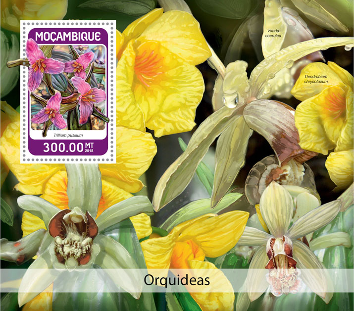 Orchids - Issue of Mozambique postage Stamps