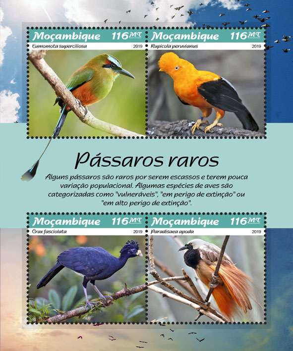 Rare birds - Issue of Mozambique postage Stamps