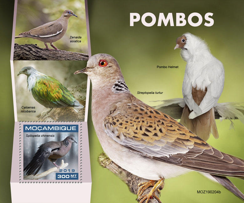 Pigeons - Issue of Mozambique postage Stamps