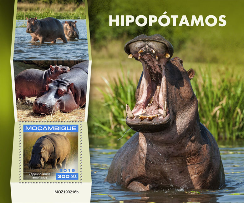 Hippopotamus - Issue of Mozambique postage Stamps
