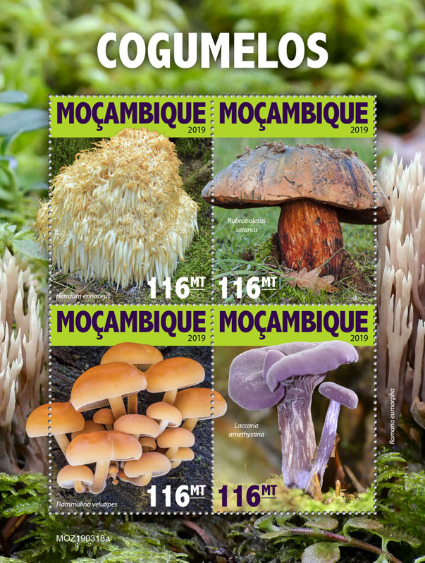 Mushrooms - Issue of Mozambique postage Stamps