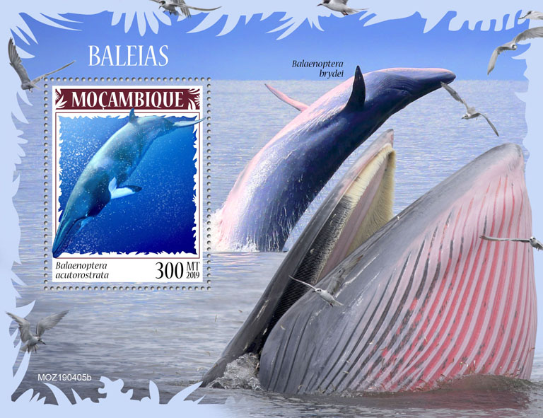 Whales - Issue of Mozambique postage Stamps