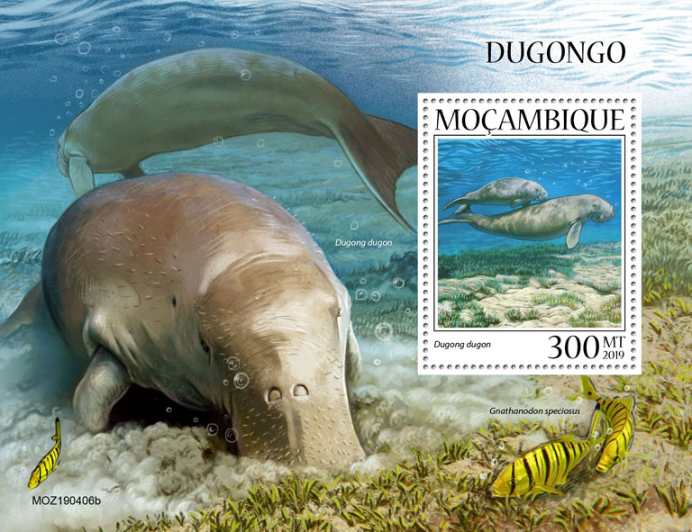 Dugongs - Issue of Mozambique postage Stamps