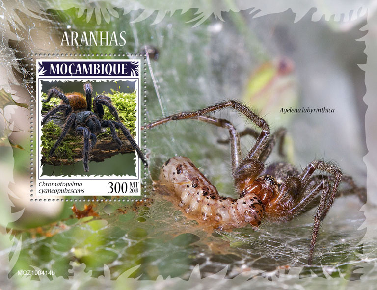Spiders - Issue of Mozambique postage Stamps