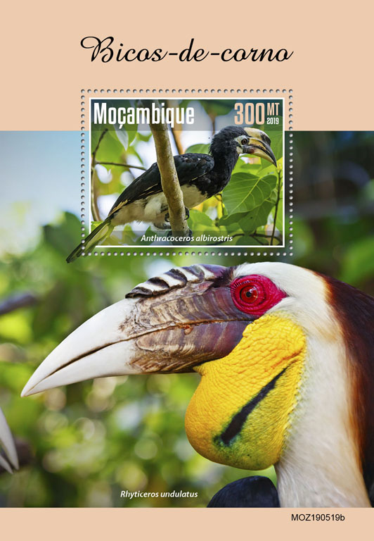 Hornbills - Issue of Mozambique postage Stamps